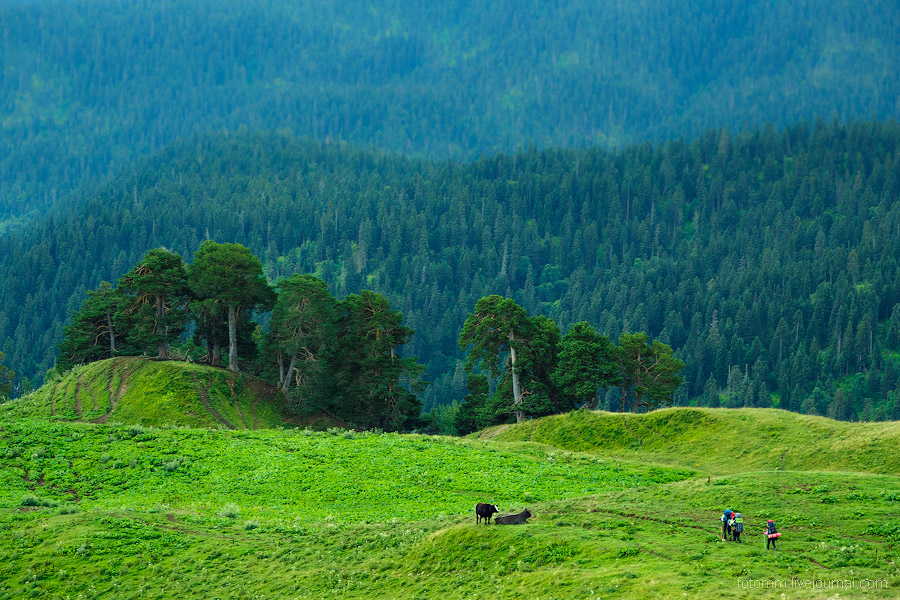 На изумрудных склонах Кавказа