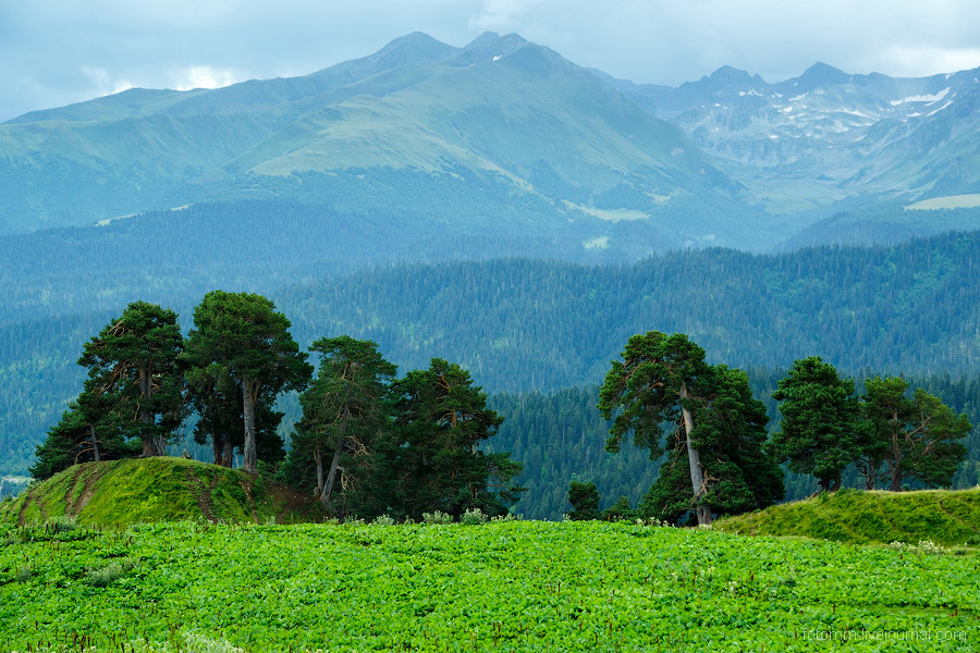На изумрудных склонах Кавказа