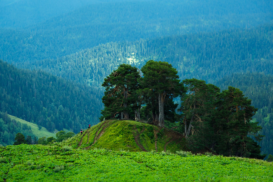 На изумрудных склонах Кавказа