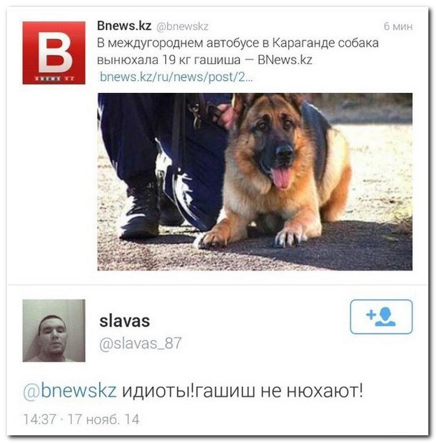 Смешные комментарии из социальных сетей