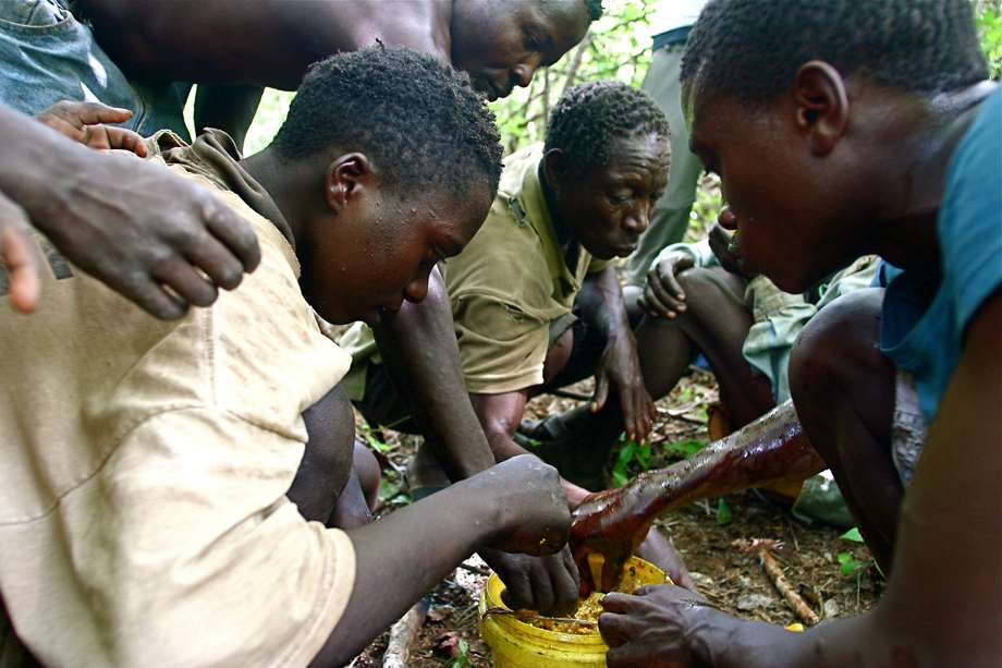 Удивительные навыки и умения племенных народов мира Удивительные навыки и умения племенных народов мира