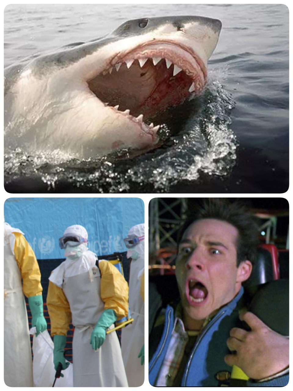 Немножко увлекательной статистики для самых пугливых или пятерка обыденных вещей, которые убивают намного чаще, чем популярные «бабайки» Немножко увлекательной статистики для самых пугливых или пятерка обыденных вещей, которые убивают намного чаще, чем популярные «бабайки»