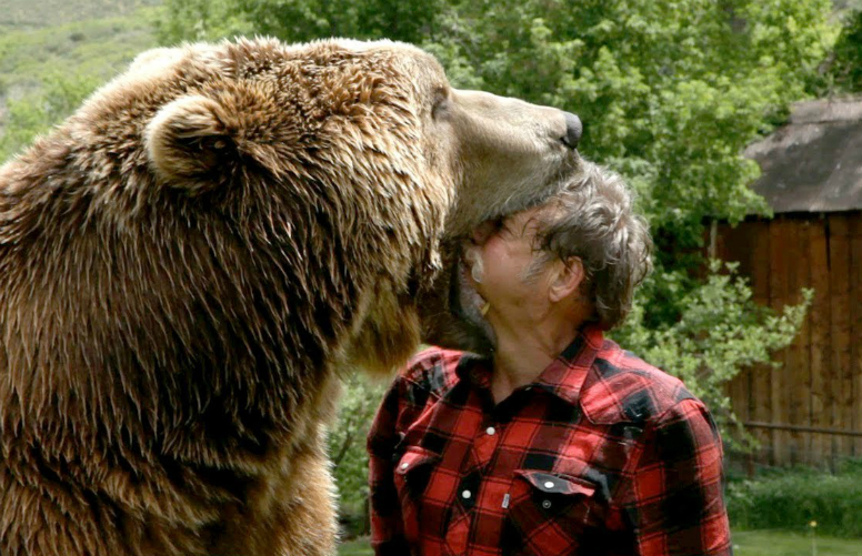 Немножко увлекательной статистики для самых пугливых или пятерка обыденных вещей, которые убивают намного чаще, чем популярные «бабайки» Немножко увлекательной статистики для самых пугливых или пятерка обыденных вещей, которые убивают намного чаще, чем популярные «бабайки»