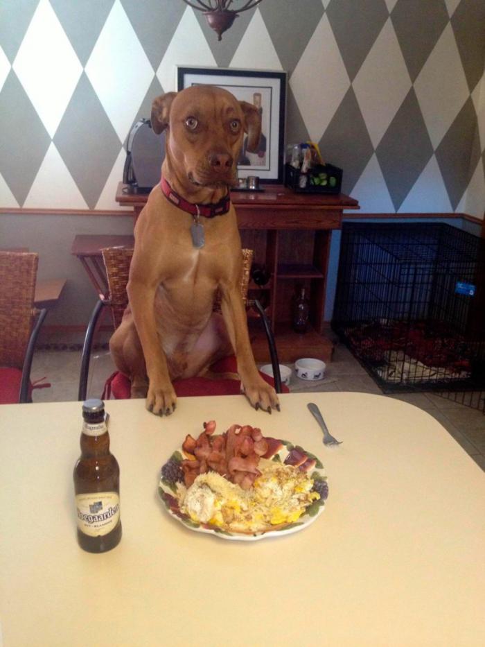 Прикольные картинки