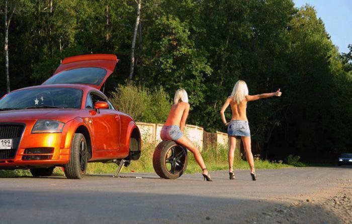 Прикольные картинки