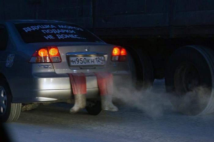 Прикольные картинки