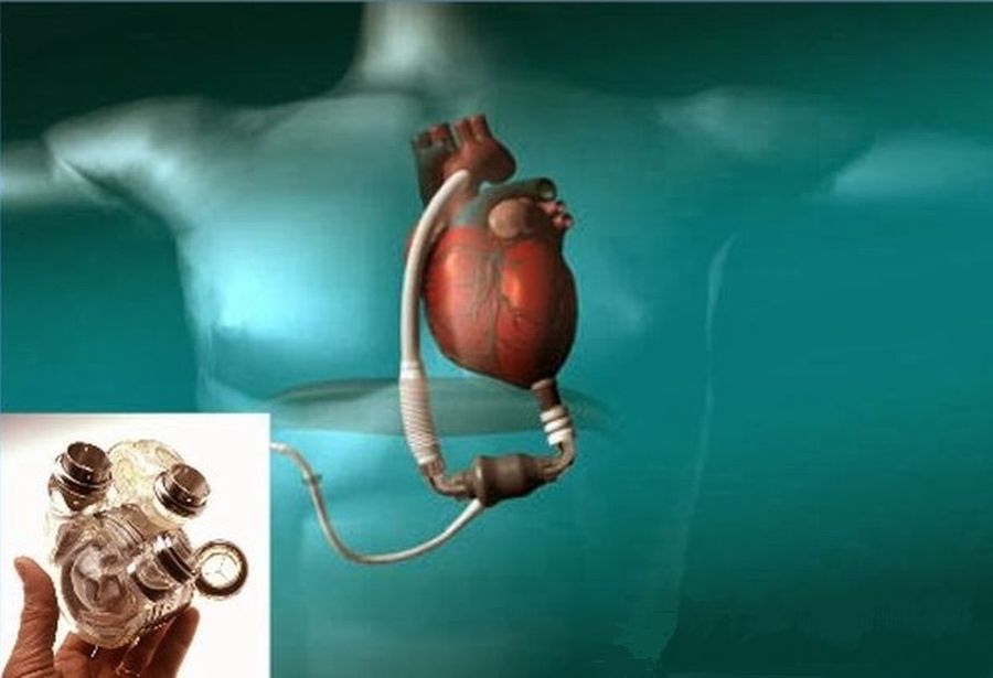 Интересные факты о здоровье