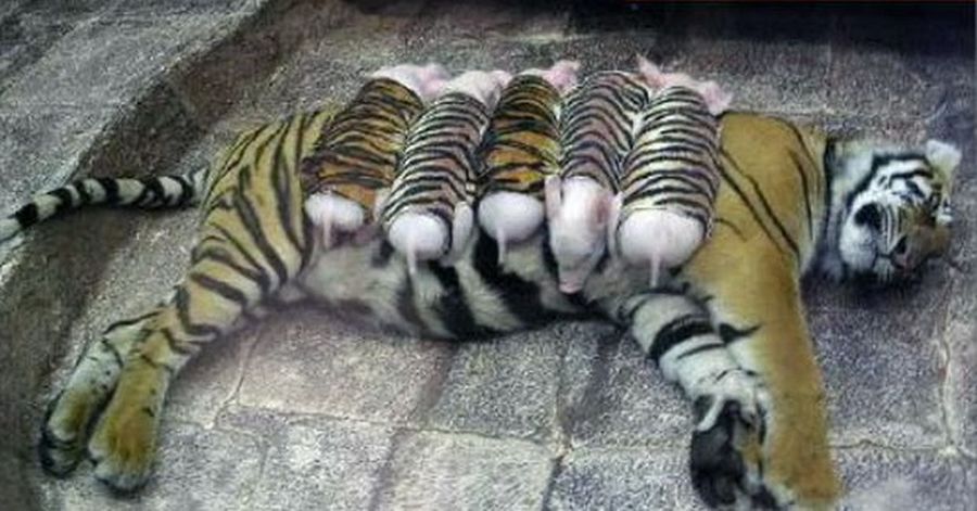 Интересные факты о здоровье