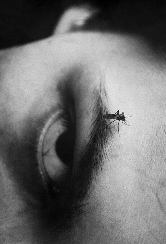 Mirror of the soul ...