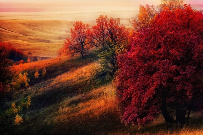 Крепитесь, люди! Крепитесь, люди!