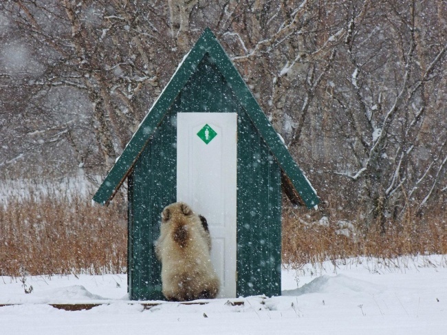 Крепитесь, люди! Крепитесь, люди!