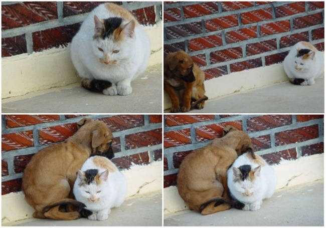 Крепитесь, люди! Крепитесь, люди!