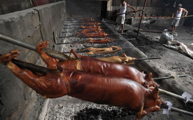 Прикольные картинки (88 фото)