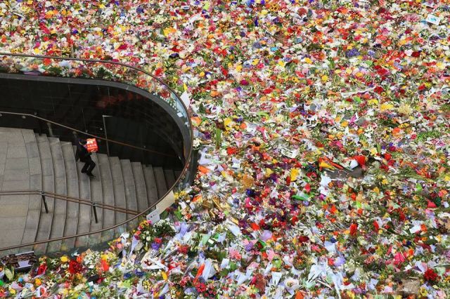 Прикольные картинки (88 фото)