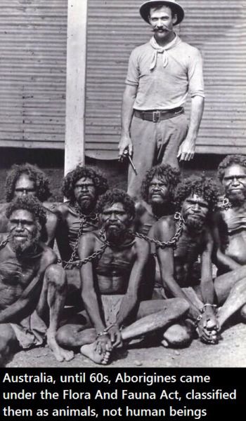 Прикольные картинки (88 фото)