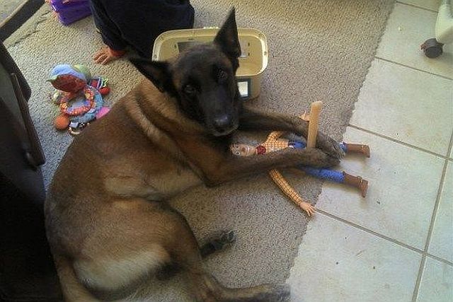 Прикольные картинки (88 фото)