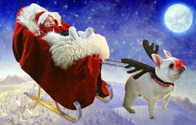 Прикольные картинки (88 фото)