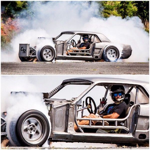 Прикольные картинки (88 фото)