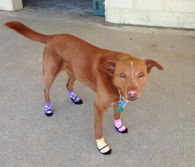 Прикольные картинки (88 фото)