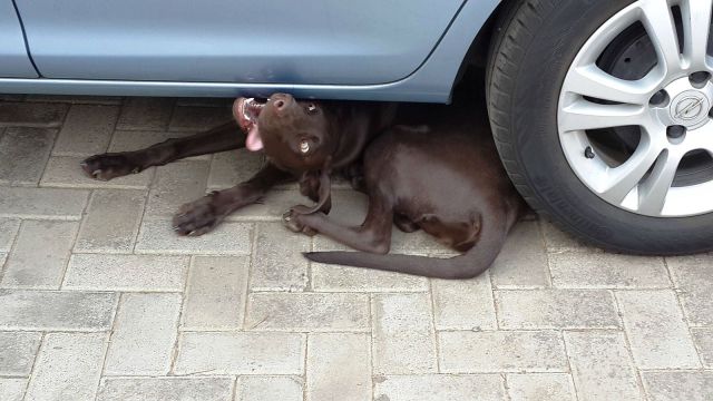 Прикольные картинки (88 фото)