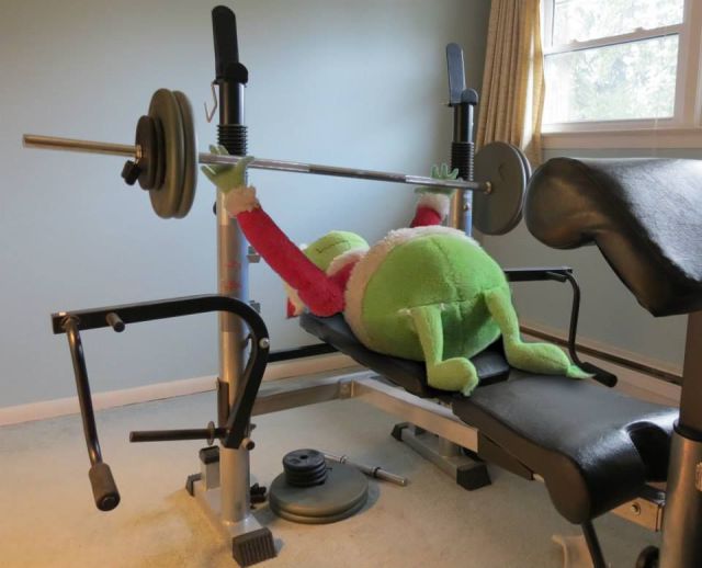 Прикольные картинки (88 фото)