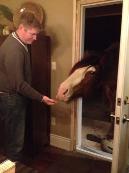 Прикольные картинки (88 фото)