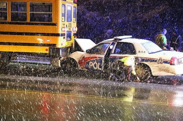 Прикольные картинки (88 фото)