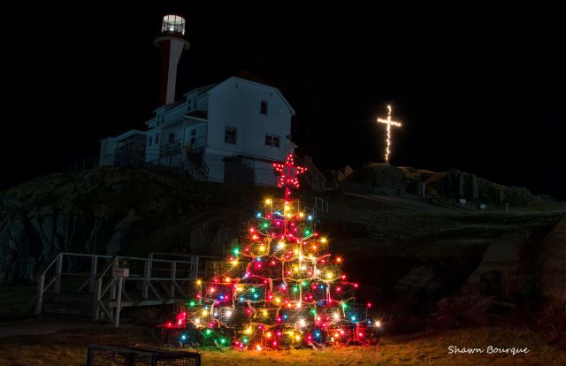 Прикольные картинки (88 фото)