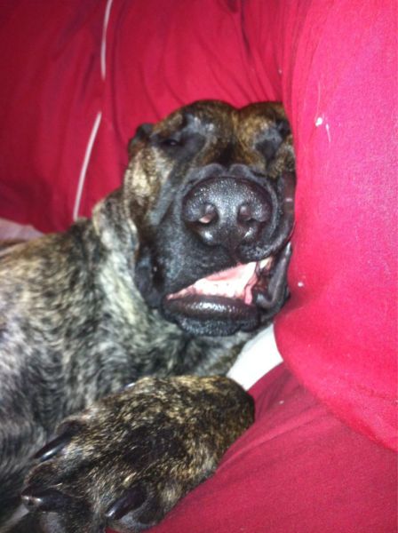 Прикольные картинки (88 фото)