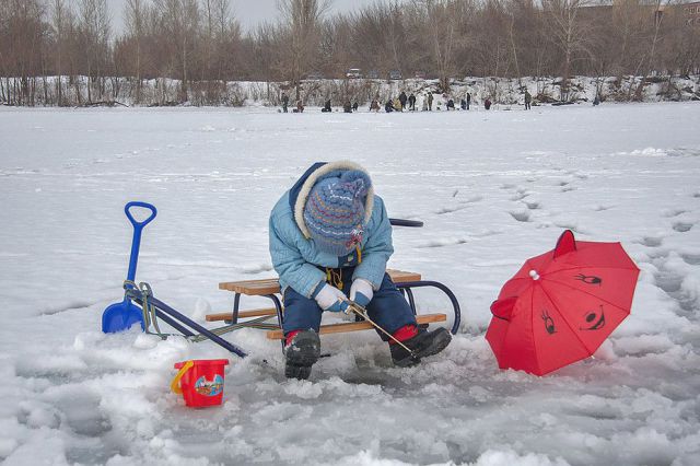 Прикольные картинки (88 фото)