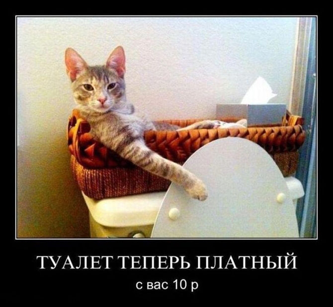 Что в настоящее время можно купить за 1 доллар в разных странах мира