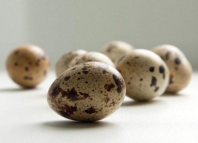 Что в настоящее время можно купить за 1 доллар в разных странах мира