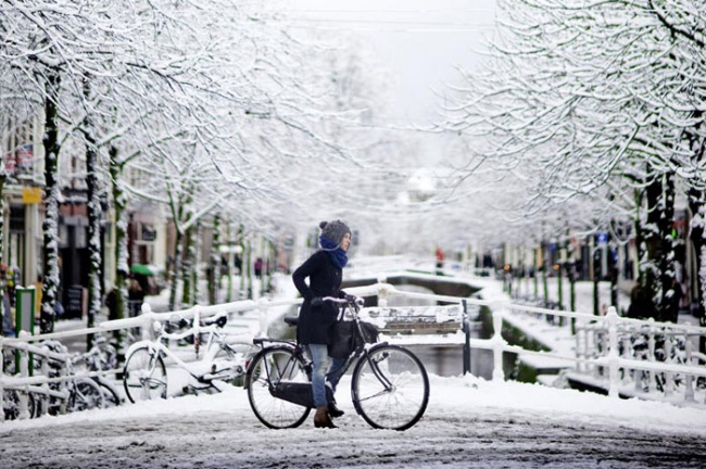 Чем заняться в новогодние каникулы