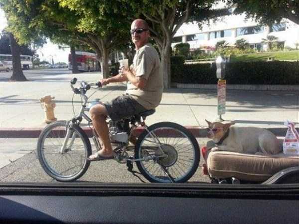 Странности из интернета