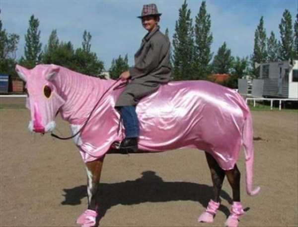 Странности из интернета