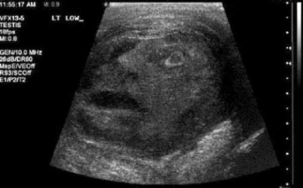 Странности из интернета