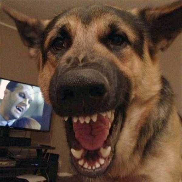 Странности из интернета