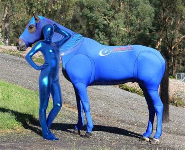 Странности из интернета