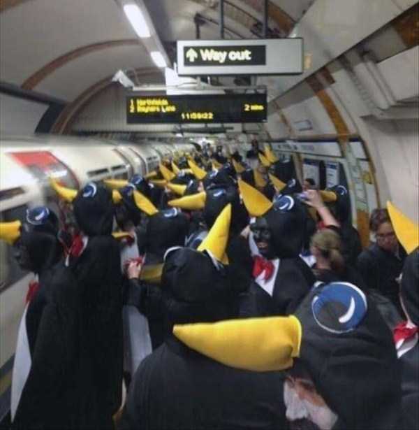 Странности из интернета