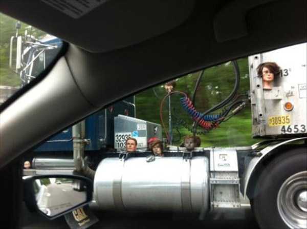 Странности из интернета