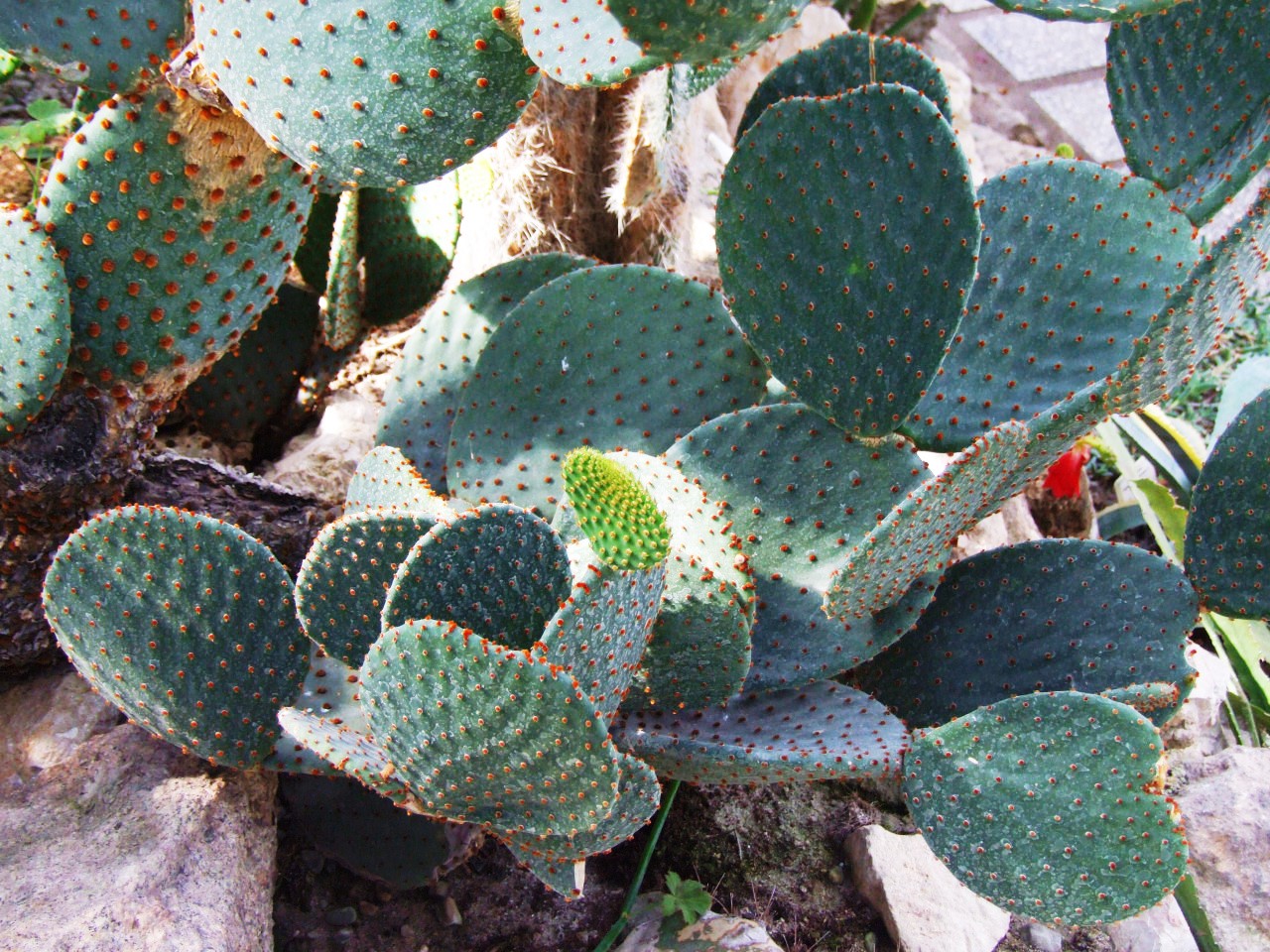 Факты с колючкой