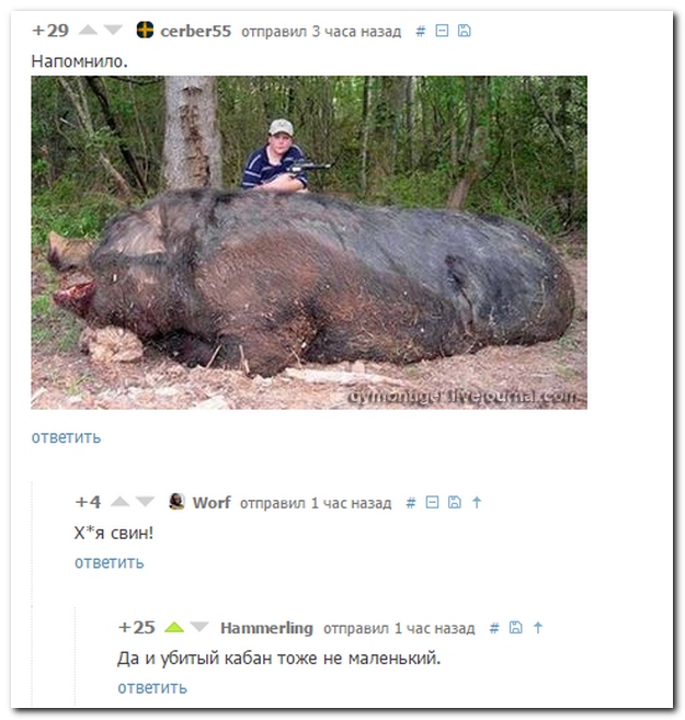 Смешные комментарии из социльных сетей