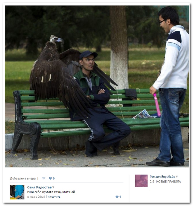 Смешные комментарии из социльных сетей