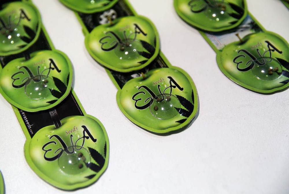 Первая “Expo Cannabis” ярмарка в Уругвае