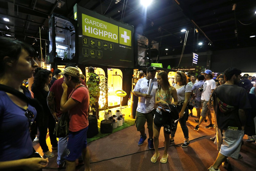 Первая “Expo Cannabis” ярмарка в Уругвае