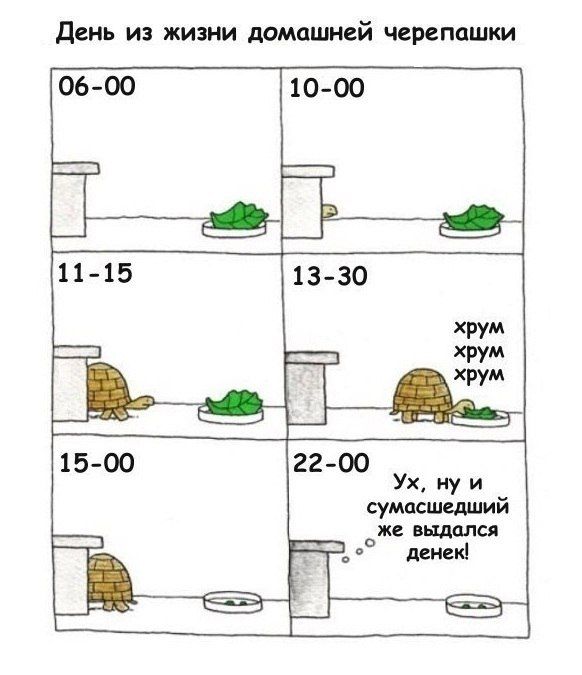 Смешные комиксы