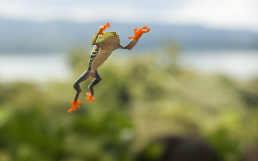 Красноглазые спортсмены Красноглазые спортсмены