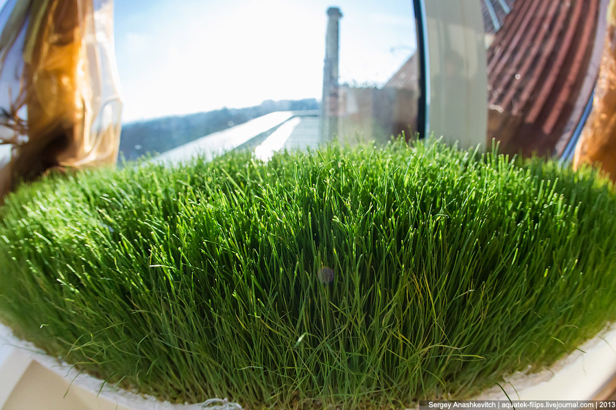 Симферопольский офис компании Яндекс