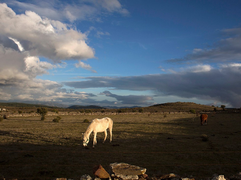 Огонь и лошади: День святого Антонио