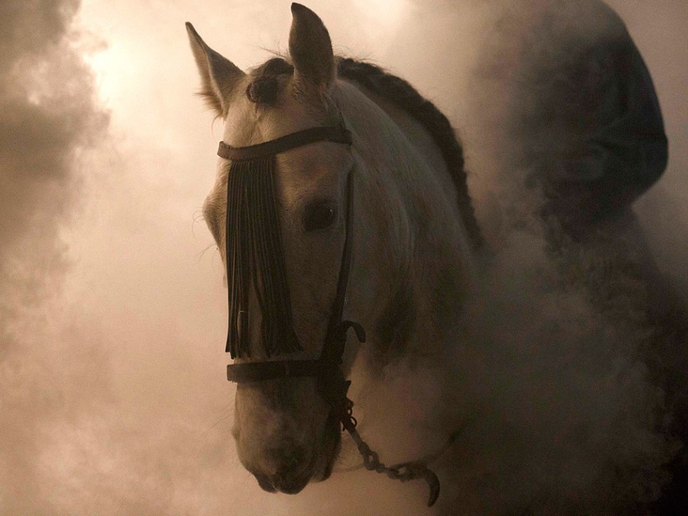 Огонь и лошади: День святого Антонио